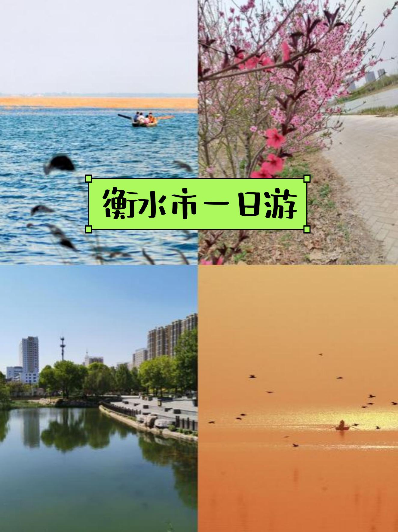 衡水湖简介关于衡水湖的介绍