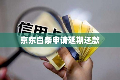 京东白条是什么时候还